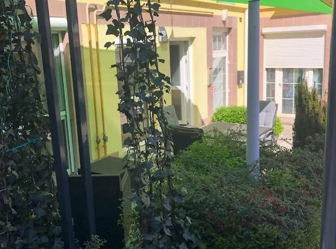 La Bella Centrum Kek Zoeld * Хевиз